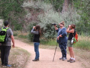 Members of a past Adult Bird Club look at and photograph a bird they see in a green forest.