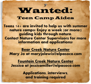 A wanted poster calling for teen volunteers for summer nature camp